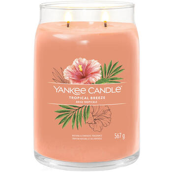 Tropical Breeze Signature Candle (tropický vánok) - Vonná sviečka

